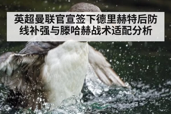 英超曼联官宣签下德里赫特后防线补强与滕哈赫战术适配分析